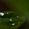 Drop