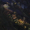 白山