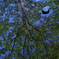 Water_No002