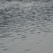 Water_No005