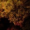 20111029-192320