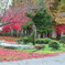 １１月の公園