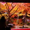 思い出に残る(2010/11撮影　京都　圓光寺）