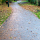 Autumn - 散歩道