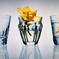FISH and FLOWER and EMPTY