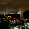 鷲羽山スカイラインの夜景