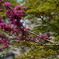 PICT0143
