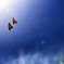 空の戯れ