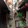 高円寺