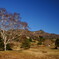 高山村山田牧場