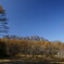 戸隠高原の自然公園