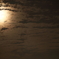 月光夜