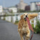 待ってーーー！　汗