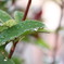 雨上がり