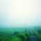 雲の国 -道-