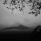 ＭＴ　ＦＵＪＩ