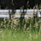 photo_1491930