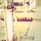 11.11.12 DESIGN FESTA