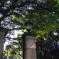 IMGP0756