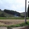 冬待ち田
