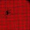 spider : red