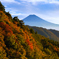 紅葉と富士