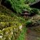 愛宕念仏寺
