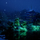 雪景色