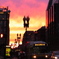 photo_1499757