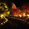 紅葉祭り