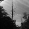 Autumn_1002