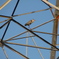 DSC00975