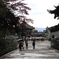 奈良公園