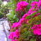 IMAG0041