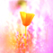 花の国