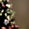 X’mas