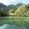 DSCN0350