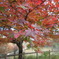 DSCN0354