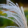 photo_1505977
