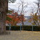 秋の公園