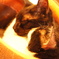 猫カフェ７