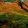 gradation