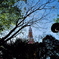Jungle Tower