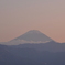 雪化粧と脚光