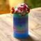 candle BougieBougie