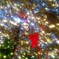 クリスマスシャワー