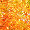 Orange range