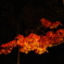_IGP7541
