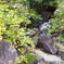 檜町公園