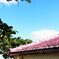 宮古島